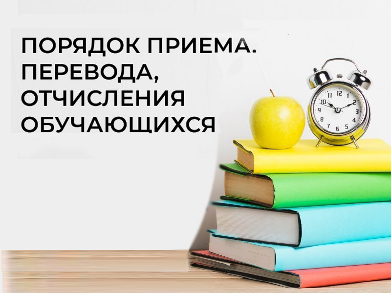 порядок приема, перевода, отчисления.